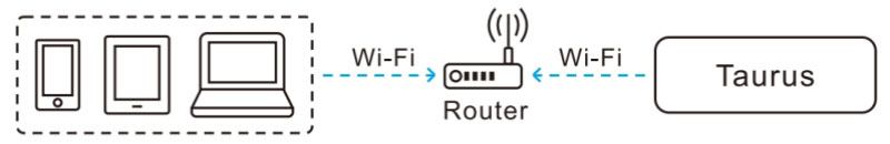 Taurus Player Wireless LAN Connection